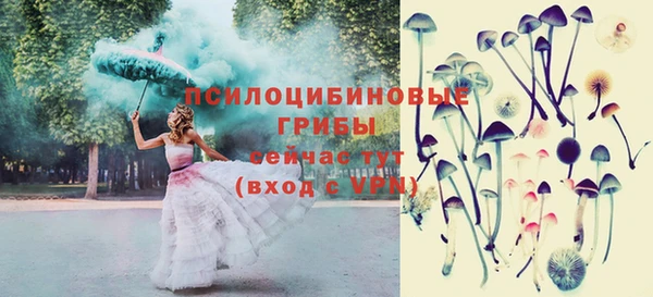 твердый Алексин