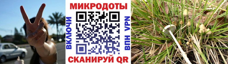 купить закладку  Сатка  Галлюциногенные грибы Psilocybine cubensis 